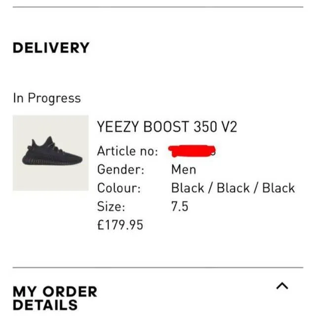 Adidas yeezy boost 350 v2 black non reflective